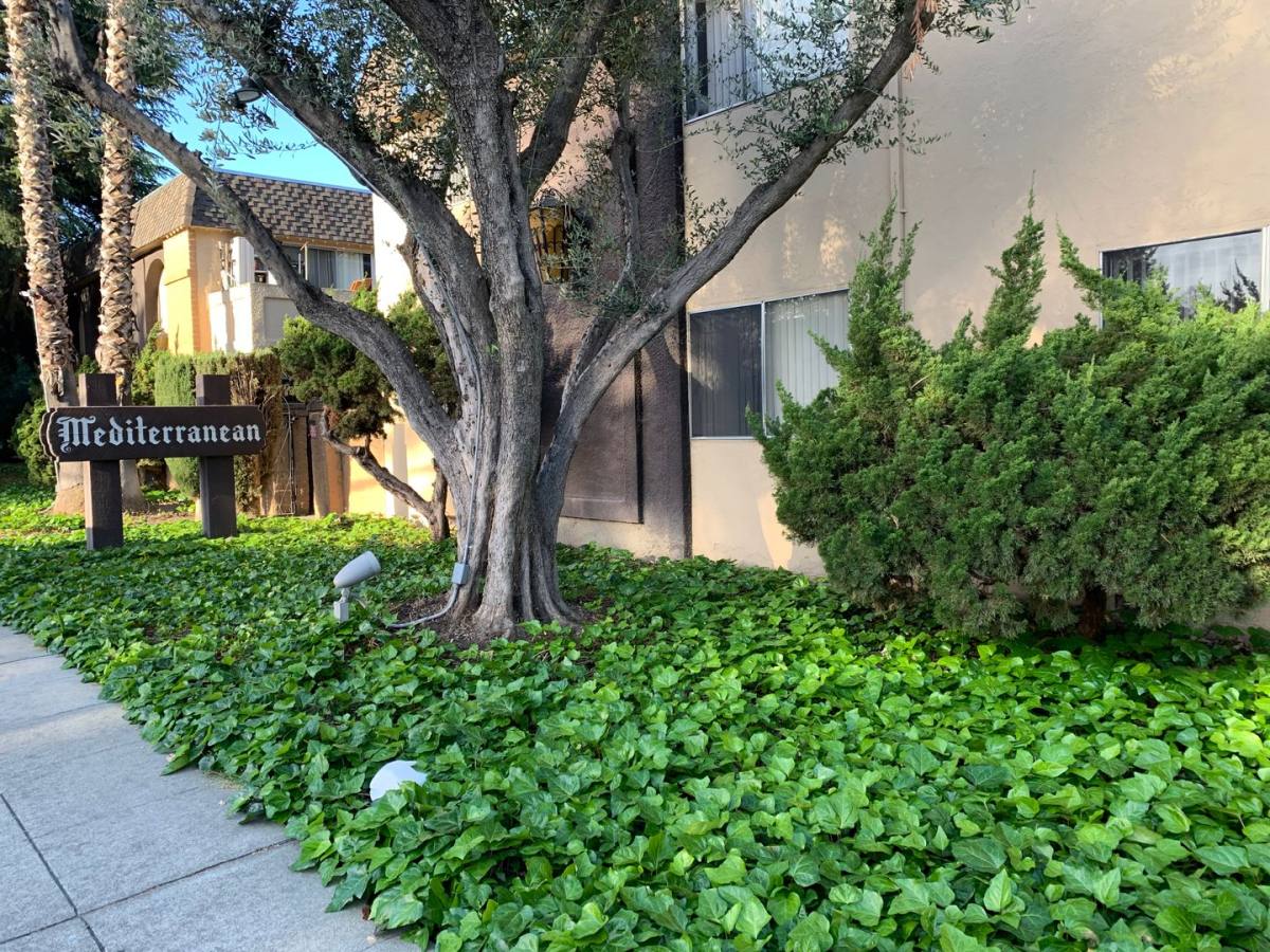 550 Kiely Blvd, San Jose, CA 95117 Apartment For Rent RentalSource